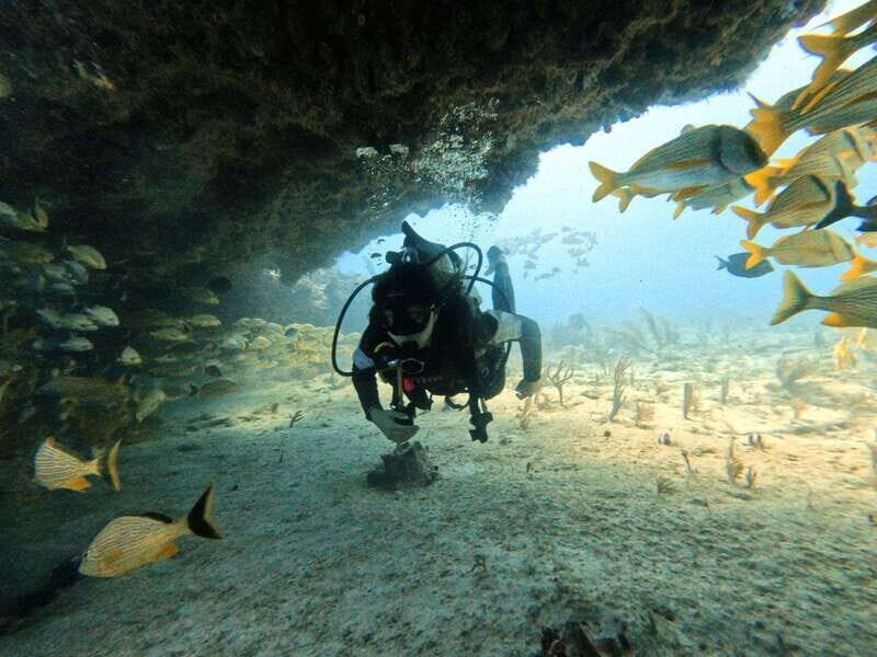 Puerto Morelos: Two Reef Dives for Certified Divers - Discovering Puerto Morelos: A Hidden Gem for Divers  