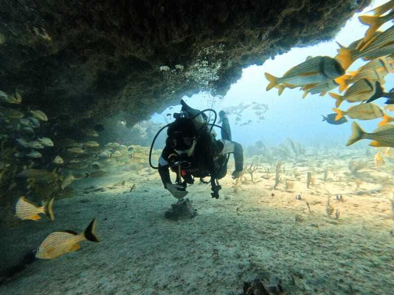 Puerto Morelos: Two Reef Dives for Certified Divers - FAQ  