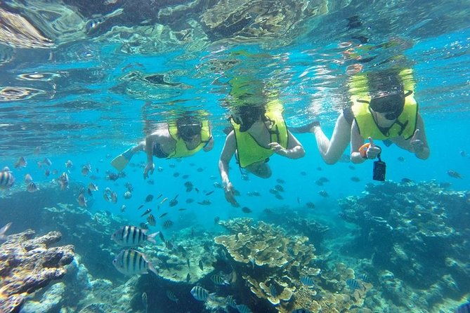 puerto-plata-shore-excursion-snorkeling-tour-sosua-beach-day