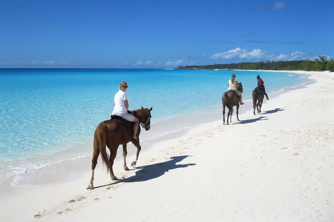 puerto-plata-sunset-beach-horseback-riding