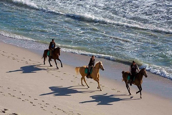 puerto-plata-sunset-beach-horseback-riding