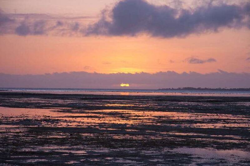 puerto-princesa-firefly-watching-bay-cruise-with-dinner
