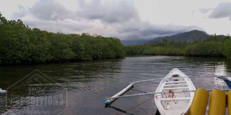 puerto-princesa-firefly-watching-paddle-boat-tour-dinner