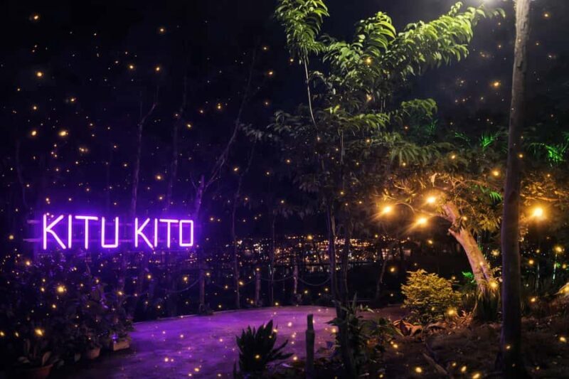 Puerto Princesa: Firefly Watching & Seasonal Plankton Tour - Who Will Love This Tour?