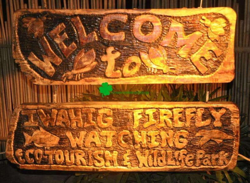 puerto-princesa-firefly-watching-shared-tour