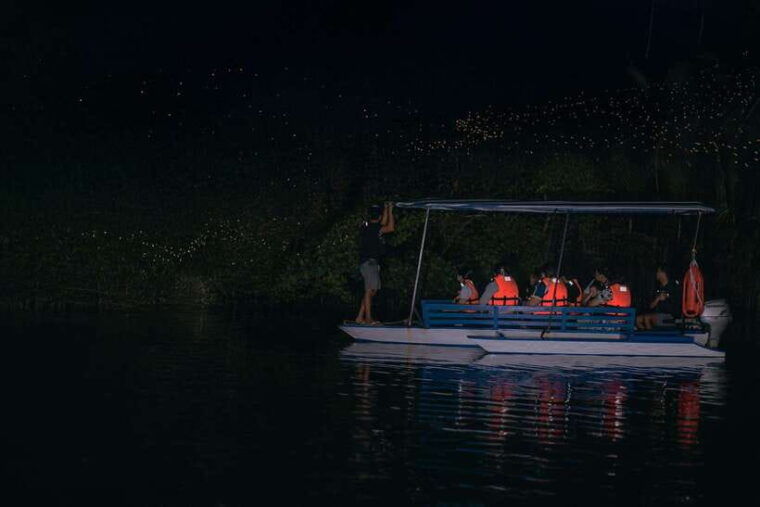 puerto-princesa-firefly-watching-tour-with-dinner-drinks