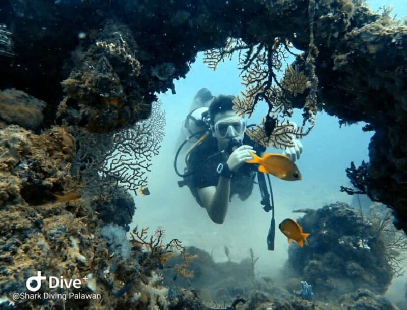 Puerto Princesa: Guided Diving Tour with Snacks - Introduction