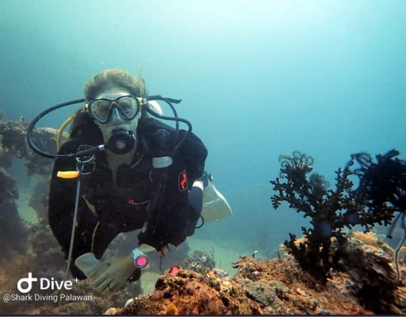 Puerto Princesa: Guided Diving Tour with Snacks - FAQ