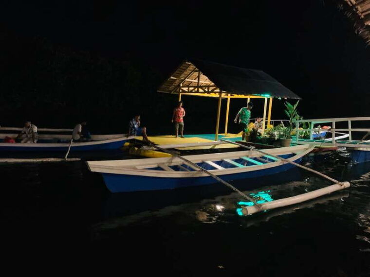 puerto-princesa-underground-river-and-firefly-watching-tour