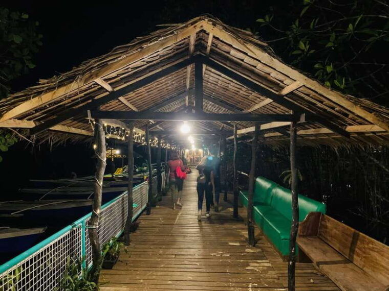 puerto-princesa-underground-river-and-firefly-watching-tour