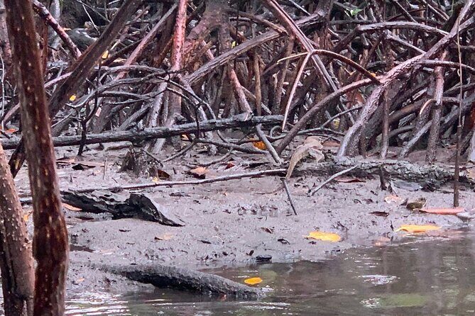 Puerto Princesa Underground River Guided Trekking Tour - Why Book This Tour?
