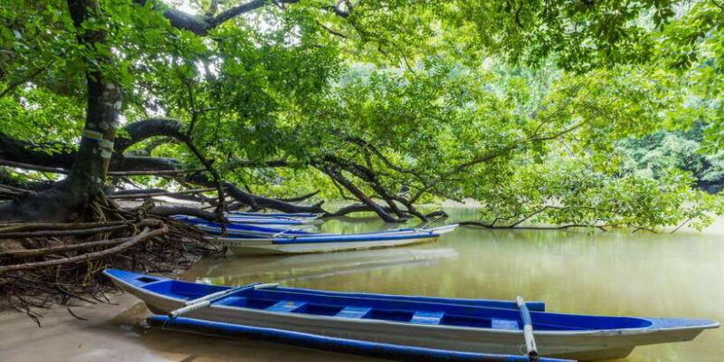 puerto-princesa-underground-river-tour-in-palawan