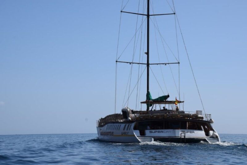 puerto-rico-2-hour-dolphin-catamaran-excursion