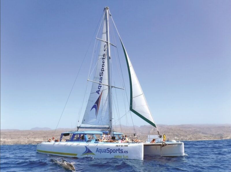 puerto-rico-4-hour-catamaran-excursion-in-the-south
