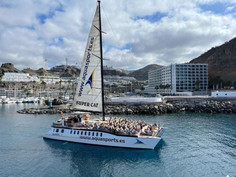 puerto-rico-de-gran-canaria-premium-dolphin-catamaran-tour
