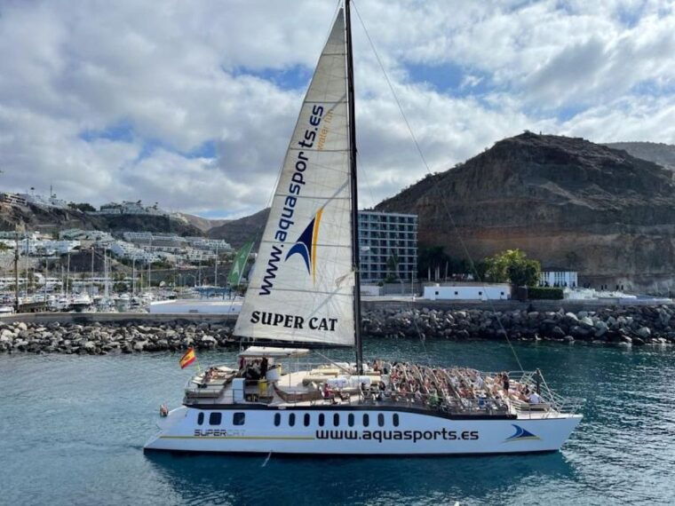 puerto-rico-de-gran-canaria-premium-dolphin-catamaran-tour