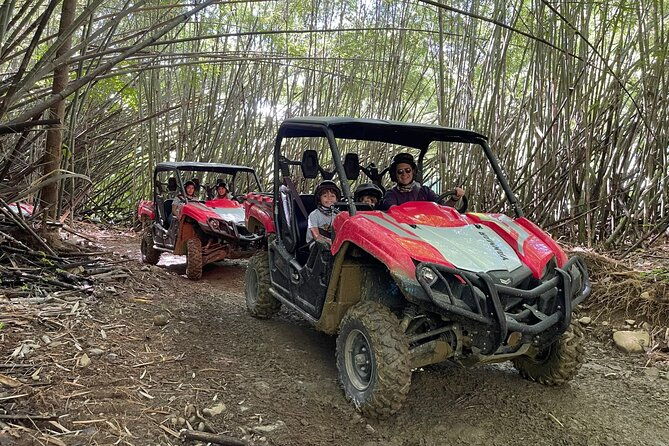 puerto-rico-el-yunque-rainforest-utv-for-2-to-4-person