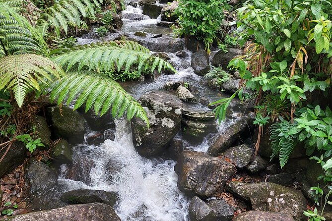 puerto-rico-el-yunque-sightseeing-half-day-tour-with-transfer