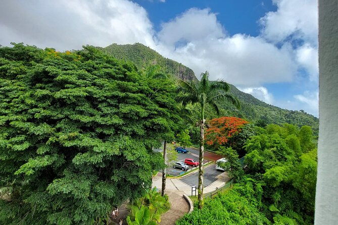 puerto-rico-el-yunque-sightseeing-half-day-tour-with-transfer