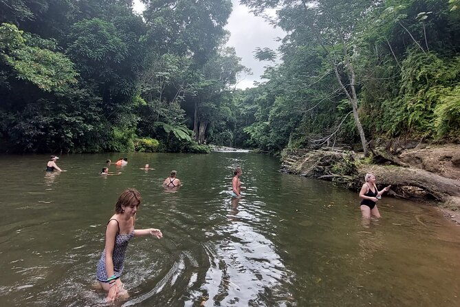 puerto-rico-el-yunque-sightseeing-half-day-tour-with-transfer