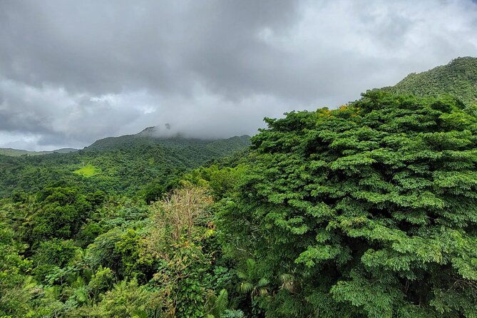 puerto-rico-el-yunque-sightseeing-half-day-tour-with-transfer