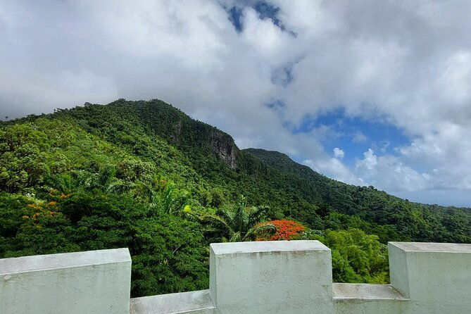 puerto-rico-el-yunque-sightseeing-half-day-tour-with-transfer