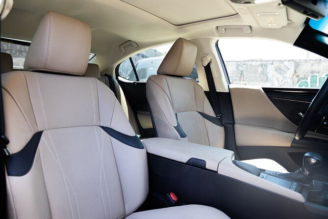 puerto-rico-island-wide-transfer-tesla-model-x-luxury-suv