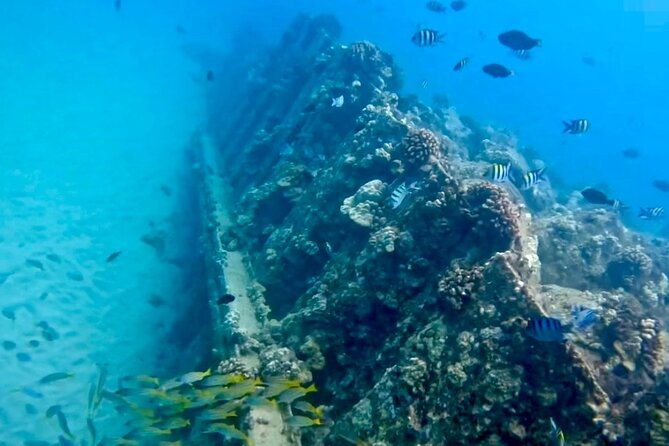 puerto-rico-jet-snorkel-tours