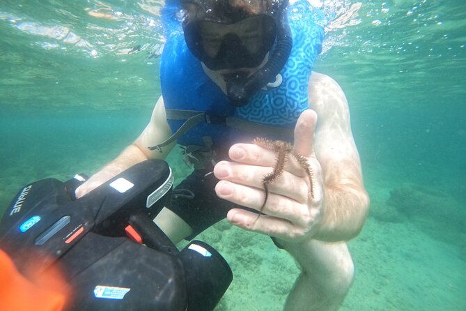 puerto-rico-jet-snorkel-with-turtles-and-videos-in-san-juan