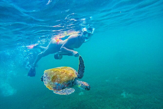 puerto-rico-jet-snorkel-with-turtles-and-videos-in-san-juan