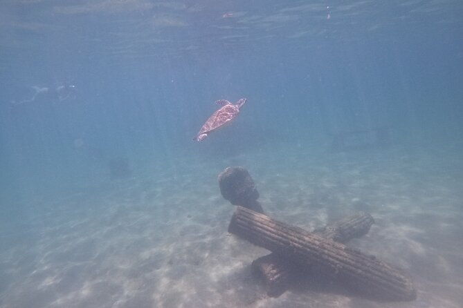 puerto-rico-jet-snorkel-with-turtles-and-videos-in-san-juan