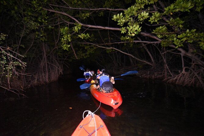 puerto-rico-sunset-magic-bio-bay-kayaking-tour-from-fajardo
