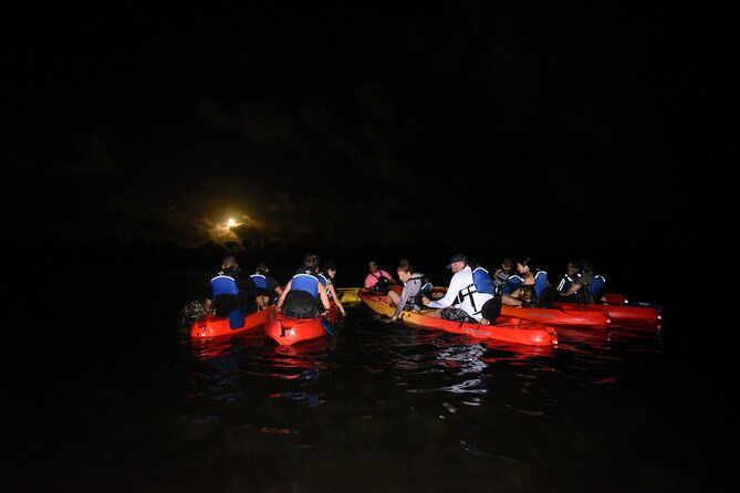 puerto-rico-sunset-magic-bio-bay-kayaking-tour-from-fajardo