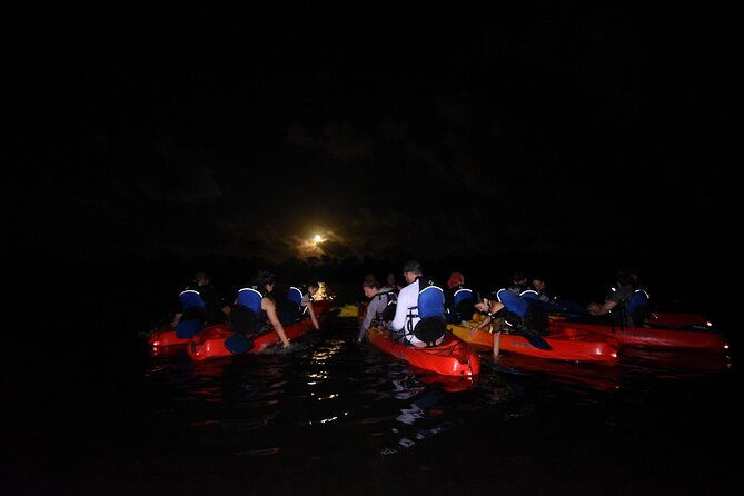 puerto-rico-sunset-magic-bio-bay-kayaking-tour-from-fajardo