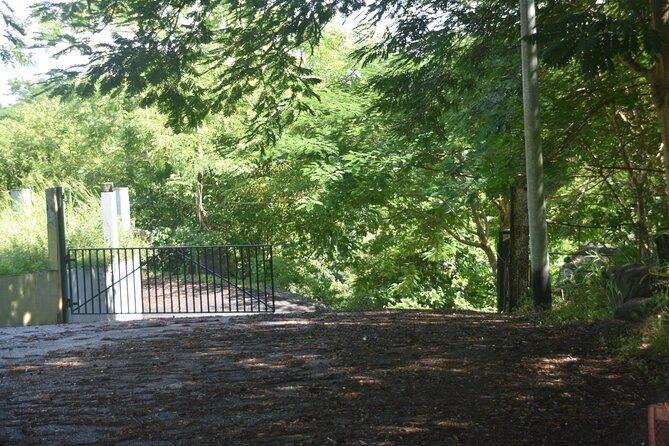 puerto-rico-waterfall-hiking-tour-discover-hidden-gems-2-0