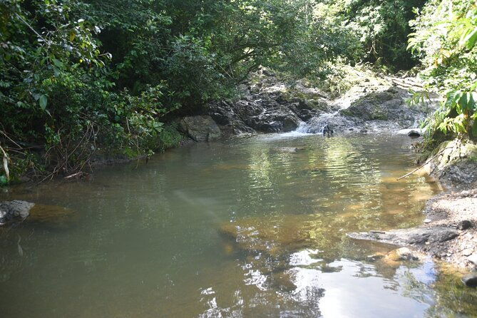 puerto-rico-waterfall-hiking-tour-discover-hidden-gems-2-0