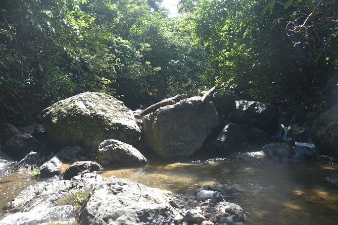 puerto-rico-waterfall-hiking-tour-discover-hidden-gems-2-0