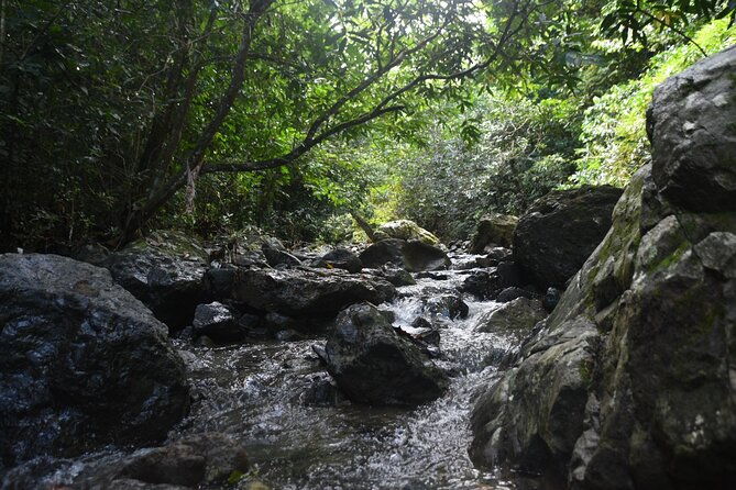 puerto-rico-waterfall-hiking-tour-discover-hidden-gems-2-0