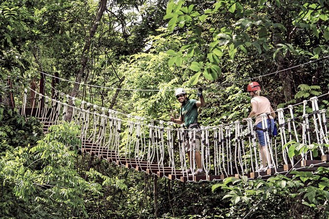 puerto-rico-ziplining-high-flying-adventure-close-to-san-juan