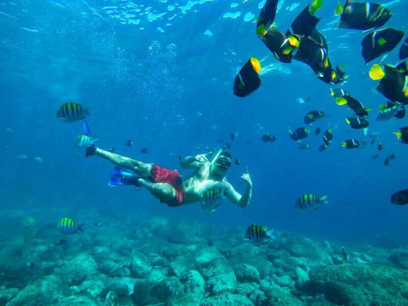 Puerto Vallarta: Boat Tour with Beach Stops & Horseback Ride - Who Should Consider This Tour?