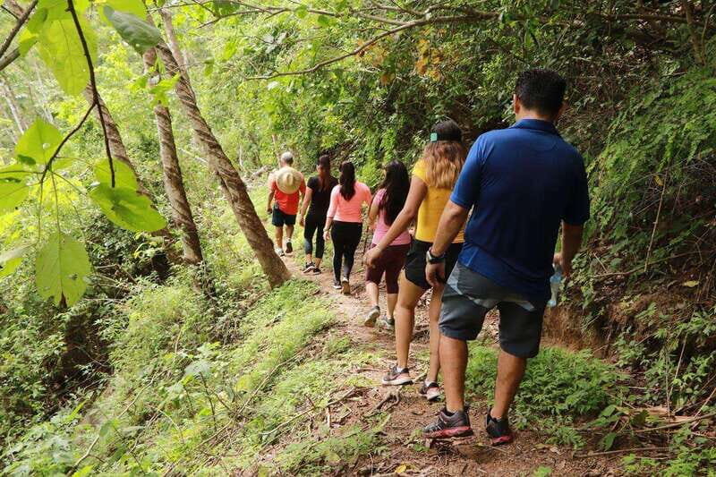 Puerto Vallarta: Botanical Garden Walking Tour - Transition to Los Veranos Adventure Park