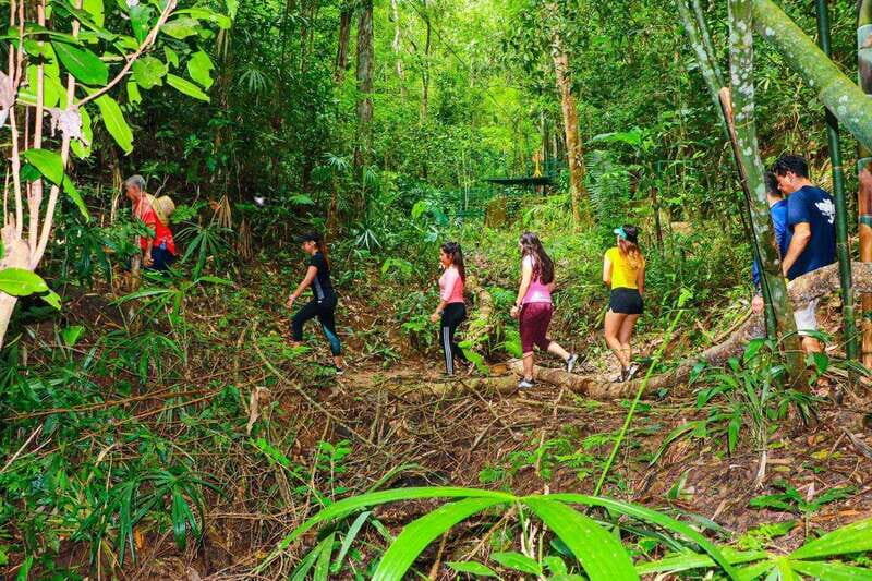 Puerto Vallarta: Botanical Garden Walking Tour - Connecting with Rescued Animals at the Animal Sanctuary