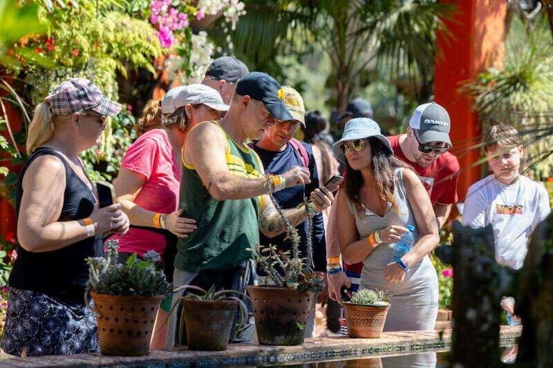 Puerto Vallarta: Botanical Garden Walking Tour - Who Should Consider This Tour?