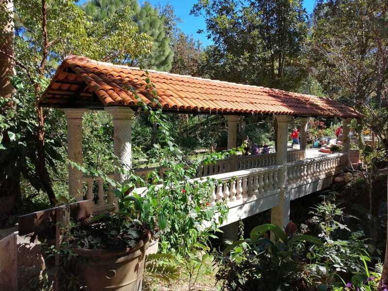 Puerto Vallarta: Botanical Gardens Tour & Culinary Adventure - A Closer Look at the Vallarta Botanical Gardens Tour & Culinary Adventure