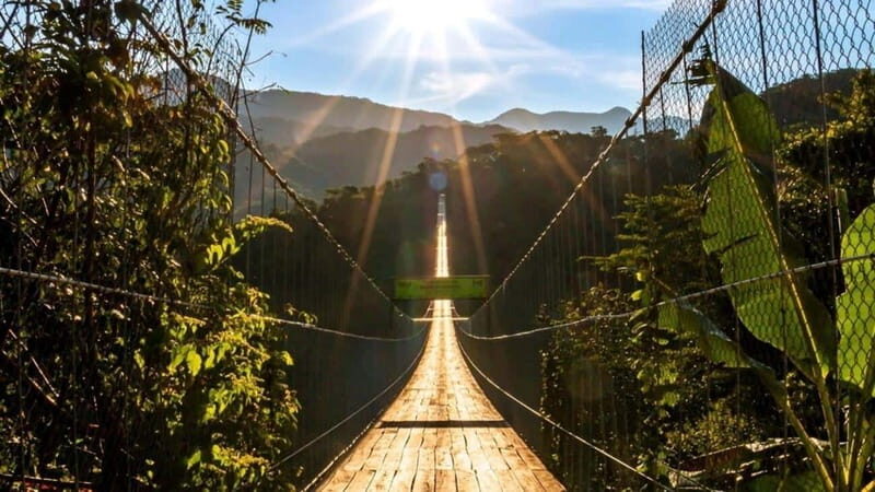 Puerto Vallarta: Canopy River + Jorullo Bridge Pass - Key Points