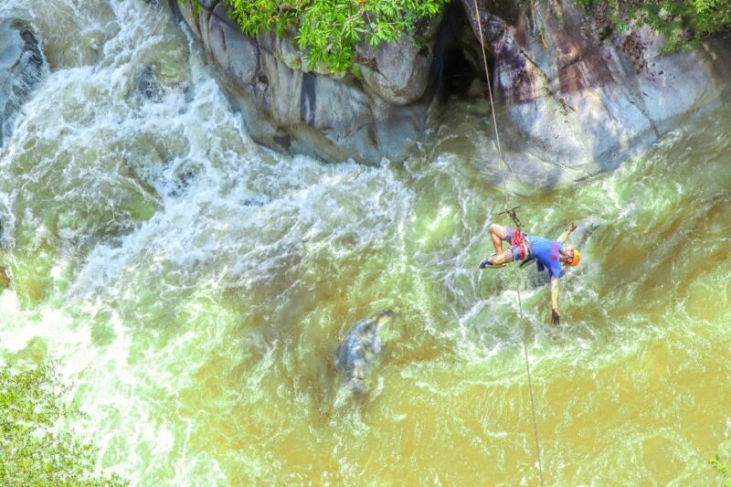 Puerto Vallarta: Canopy Tour with Zipline and Speedboat Ride - Who Will Love This Tour?