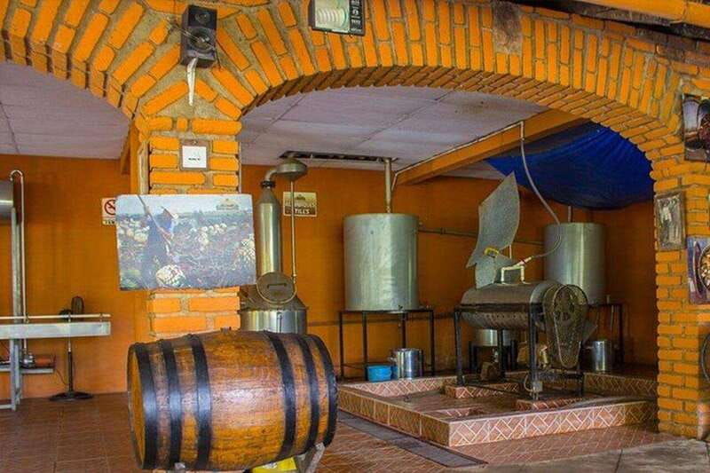 puerto-vallarta-city-and-tequila-tour-with-tasting