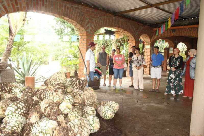 puerto-vallarta-city-tour-tequila-and-coffee-factory-tour
