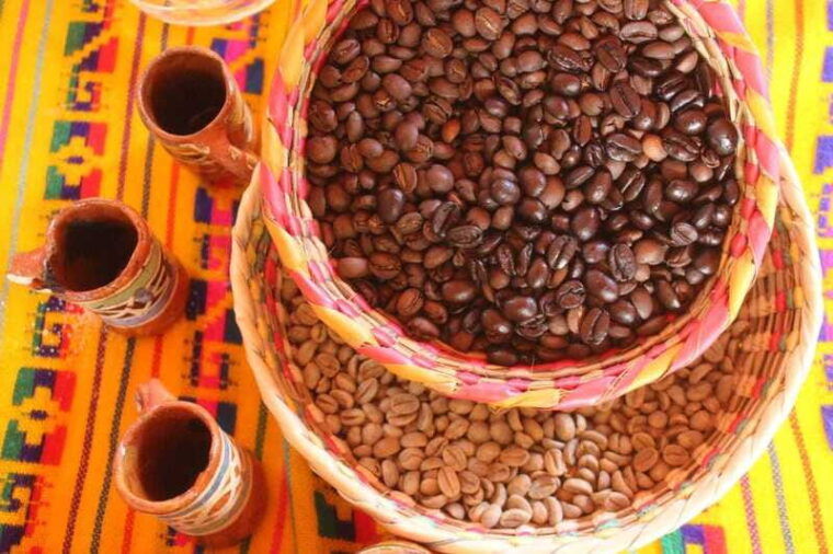 puerto-vallarta-city-tour-tequila-and-coffee-factory-tour