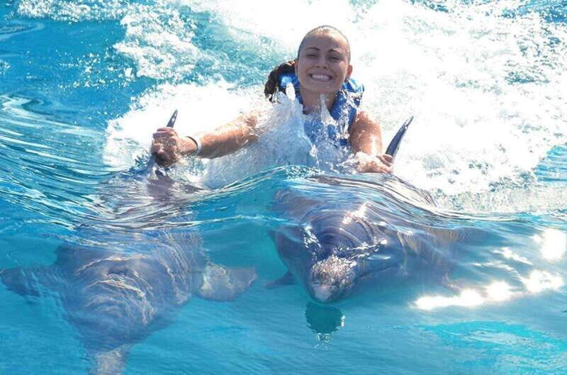 Puerto Vallarta: Dolphin Royal Swim at Aquaventuras Park - Why This Experience Offers Great Value